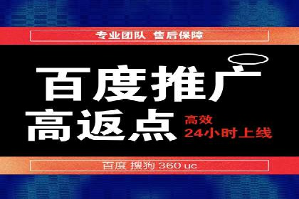 成功案例揭秘：百度竞价代运营如何助力企业腾飞